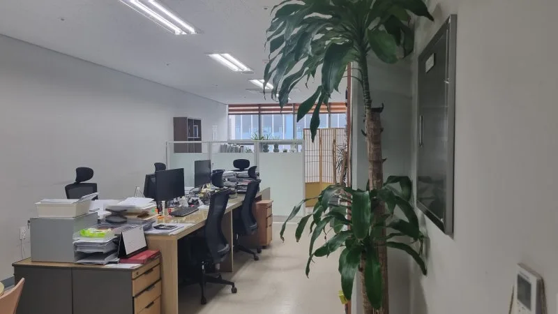 후견제도, 무엇이고 어떤 경우에 필요한가요? 도표 3