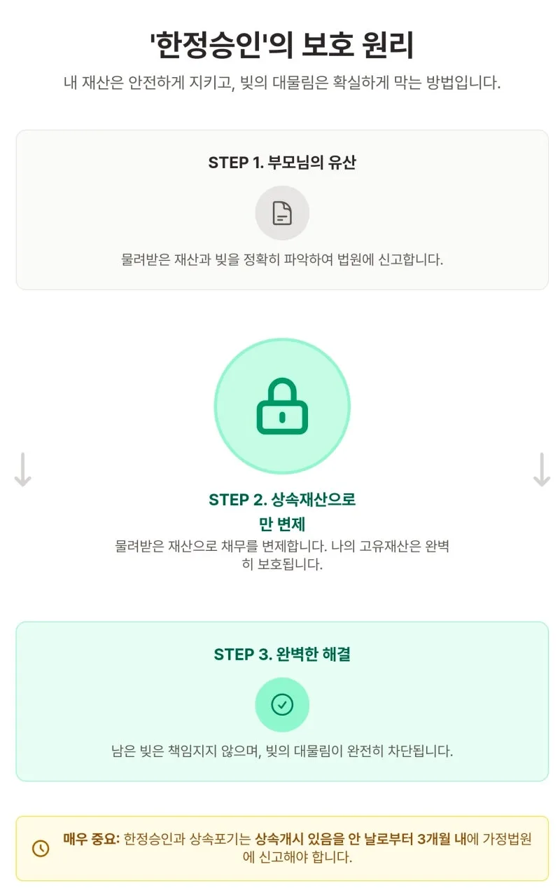 부모님 빚, 더 이상 혼자 끙끙 앓지 마세요. 한정승인으로 완벽 해결하는 법 도표 5