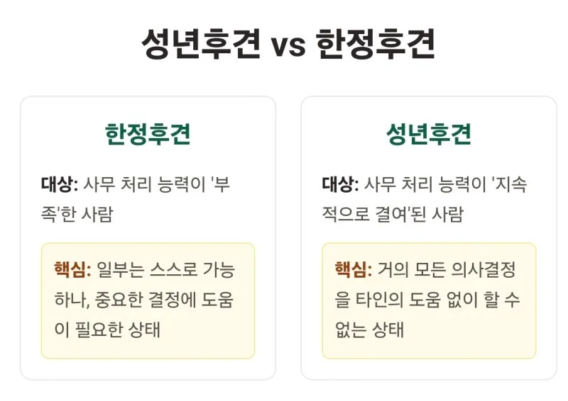 치매 부모님 성년후견 한정후견 비교, 어떤 것을 신청해야 할까요? 장단점과 차이점 완벽 비교 도표 4