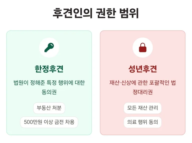 치매 부모님 성년후견 한정후견 비교, 어떤 것을 신청해야 할까요? 장단점과 차이점 완벽 비교 도표 7