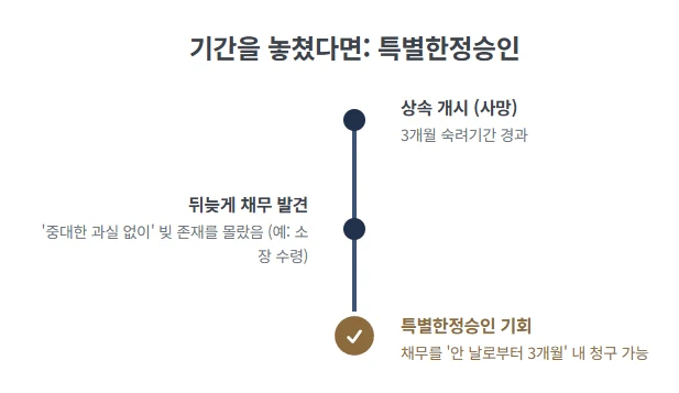 한정승인 심판청구 : 고인의 빚 상속 문제, 한정승인 심판청구와 상속포기 중 내 상황에 맞는 최적의 방법은? (특별한정승인 포함) 도표 10