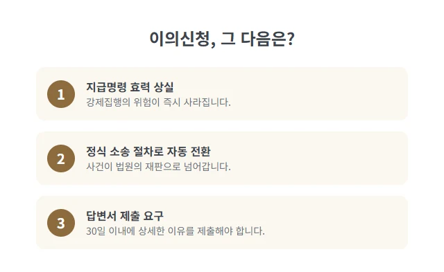 지급명령 이의신청, 2주 기한 놓치면 어떻게 되나요? | 법무사 김무관 도표 6