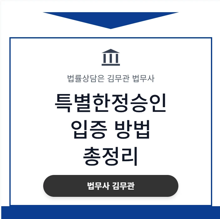 특별한정승인 입증 방법 총정리 도표 1