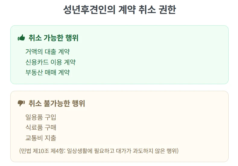 치매 부모님 카드빚과 대출, 성년후견으로 취소할 수 있는지 판단 기준 도표 2