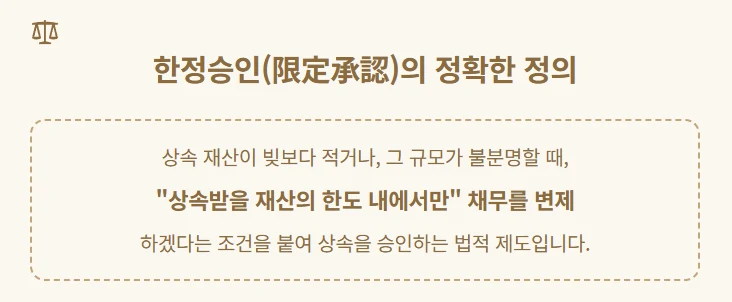 [충격] 상속포기했는데 빚 폭탄이 사촌에게? 친척에게 채무가 넘어가는 위험을 완벽히 차단하는 '한정승인'의 핵심 정리 도표 4